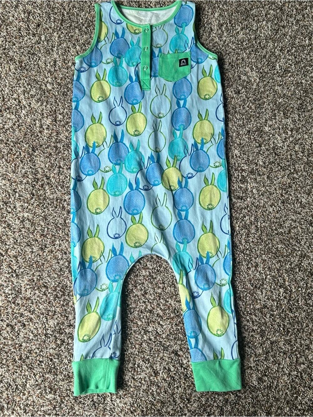 Rags Sleeveless Romper with Blue & Green Bunny Print size 5/6